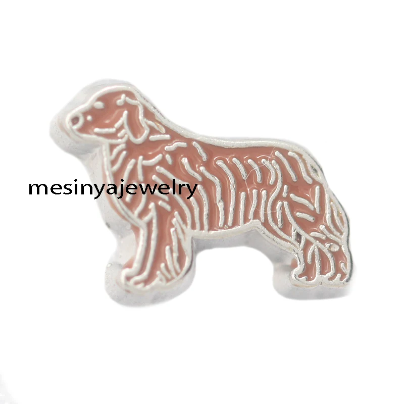 

10pcs Dog Pets Custom Floating Charms For Glass Locket