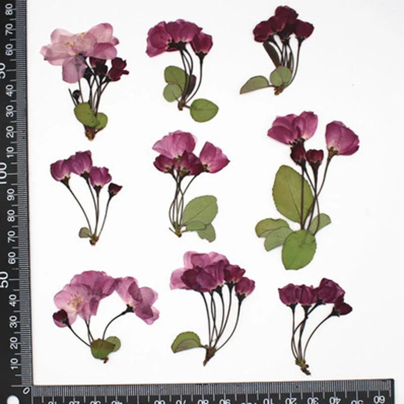 2021 Вишня на стеблях цветы сделай сам материал ручной работы 1 лот/40 шт. бесплатная