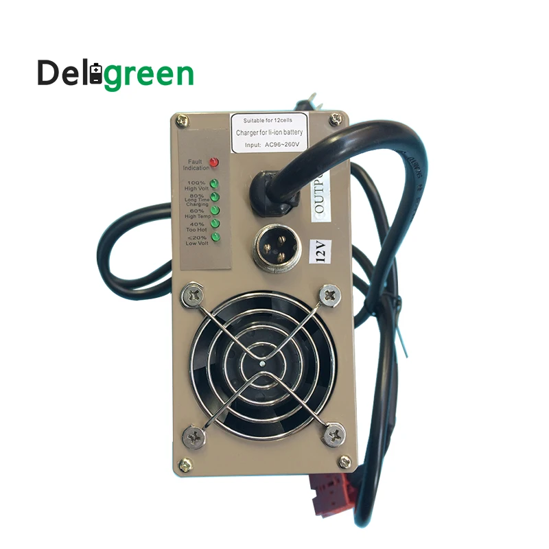 Deligreen портативное интеллектуальное зарядное устройство CC/CV режим зарядки литий