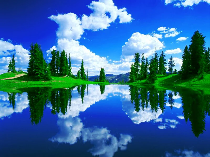 Бесплатная доставка декорации стены гобелен перевернутый образ леса