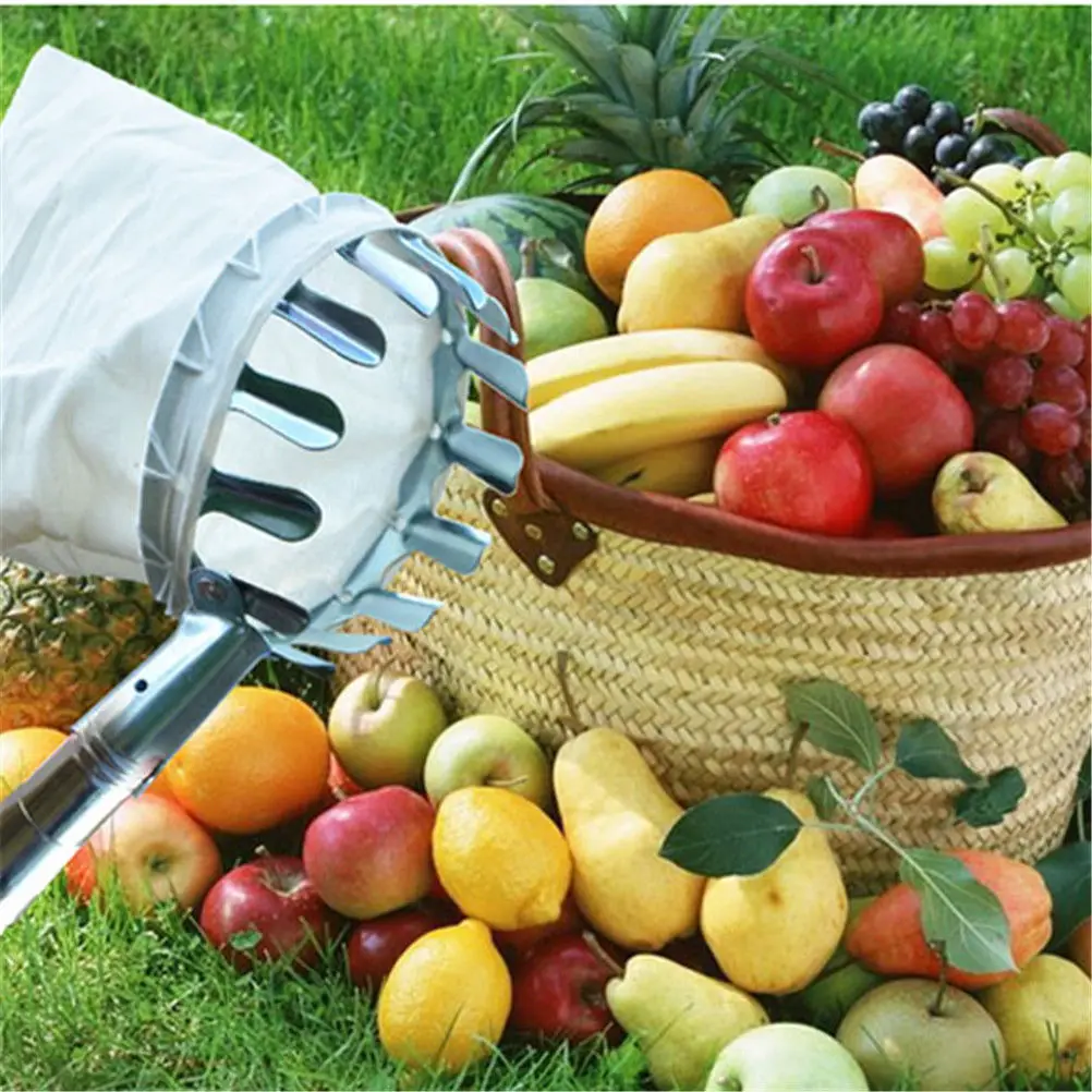 1 шт. металлический инструмент для сбора фруктов | Инструменты