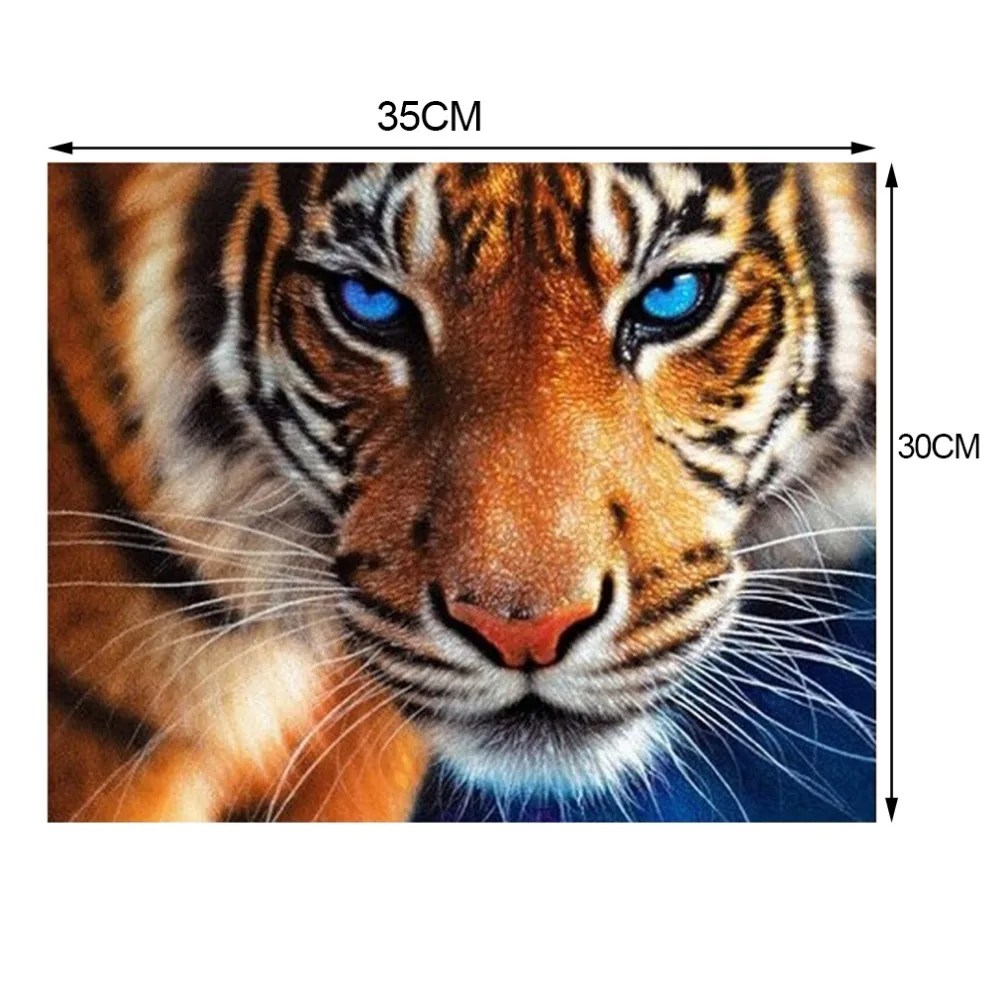 5D полностью алмазные картины покрытые крестиком декоративная живопись 30*35 см