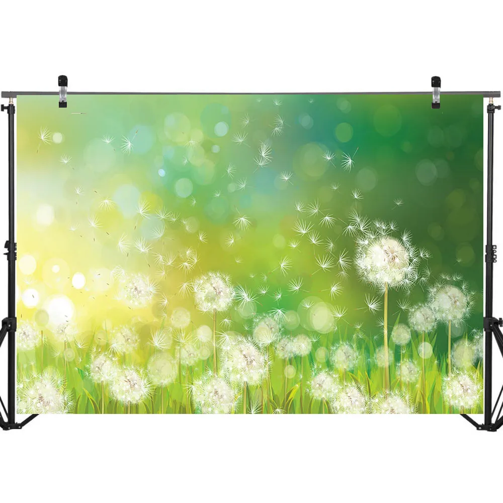 NeoBack Летний зеленый фон с природными пейзажами Одуванчик солнце боке Фотография