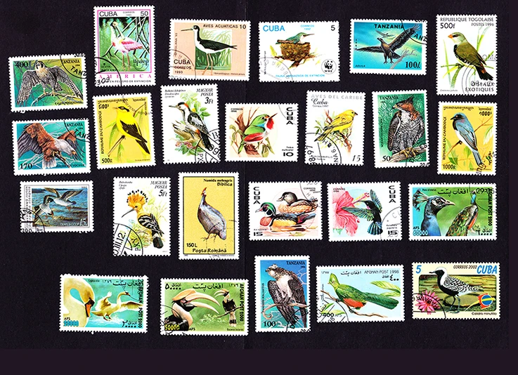 Новые 50 шт./упак. Bird все отличаются во многих странах не повторяют