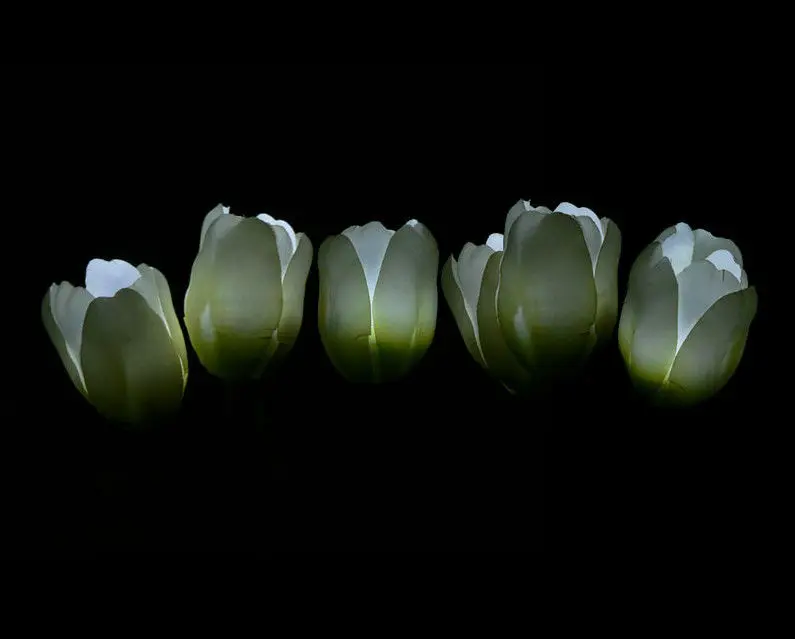 120 шт./лот миниатюрные светодиодные ягоды 2 см плавающий светодиодный светильник