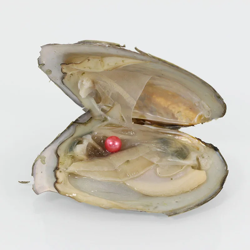 20 шт морской Oyster Круглый Akoya жемчуг 28 цветов смешанные цвета 6 7 мм
