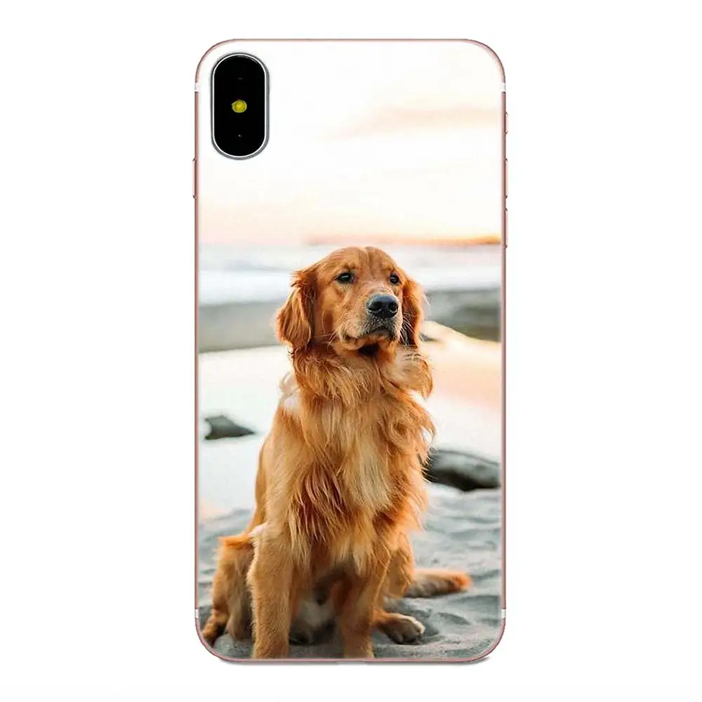 TPU Live Love Phone Для Huawei Mate 7 8 9 10 20 P8 P9 P10 P20 P30 Lite Plus Pro 2017 золотистый ретривер