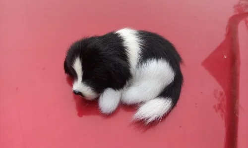 

small cute simulation dog toy lifelike mini sleeping dog ,home decoration about 10x7.5x4.5cm
