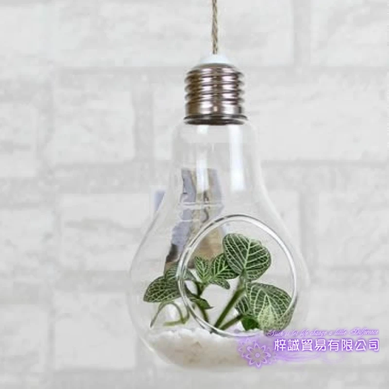 Стеклянная ваза с лампочками милые цветочные горшки настольные стеклянные