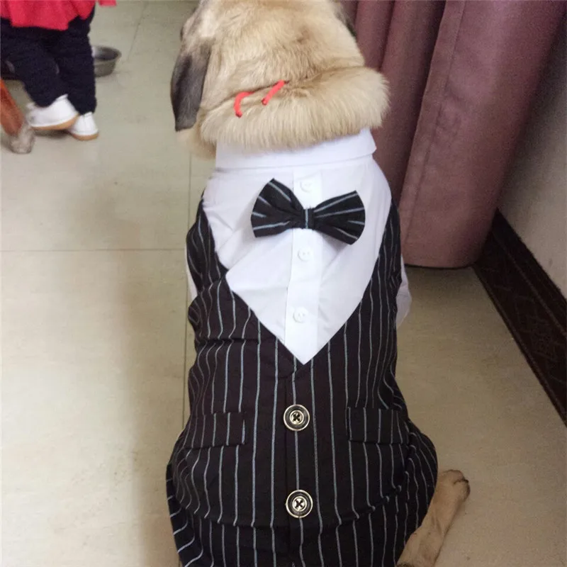 Bigeyedog, мопс, французская одежда для бульдога, мужской костюм для собак, свадебная одежда для собак, смокинг, одежда для домашних животных, праздничный костюм, пальто