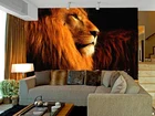 Большой льва 5D Papel фрески обои 3d настенные росписи обои для гостиной 3d Фотообои