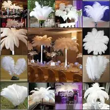 

100pcs/lot Natural White Ostrich Feathers 15-75cm Colorful Feather Decoration Wedding Party Plumage Decorative Feather