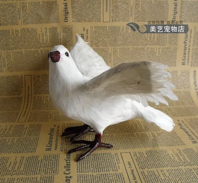 True feather white dove peace shooting props wedding ornaments gifts teaching specimens | Дом и сад