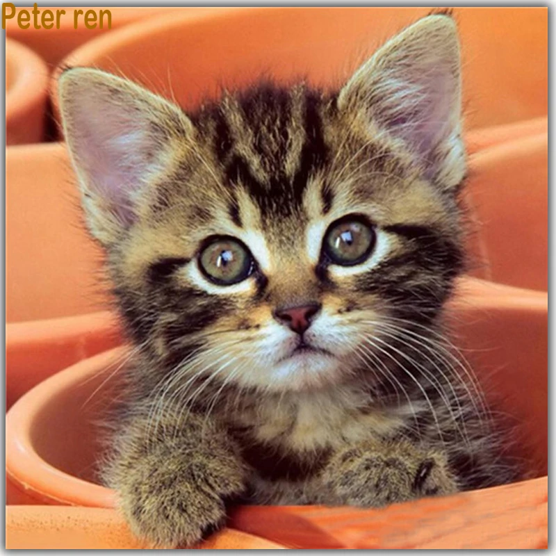 

Peter ren Diy Diamond painting cross stitch Pictures of crystals Full Square &Round diamond mosaic Diamond embroidery Potted cat