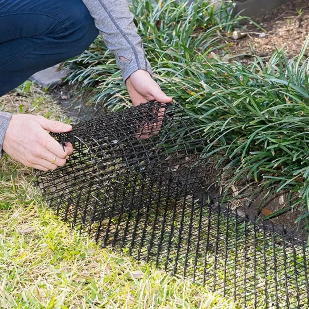 

Guard Bar Green Gardening Plastic Anti - Cat Thorn Cat Dog Mosquito Repellent Plastic Nail Garden Net