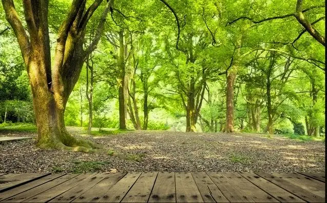 Фотообои лес природный пейзаж 3D стерео обои спальня ТВ фон гостиная роспись|wallpaper