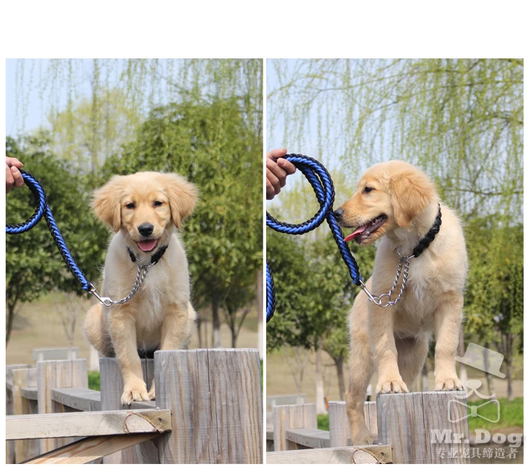 

nylon pet dog collar and leashes set for medium large dogs high quality D08