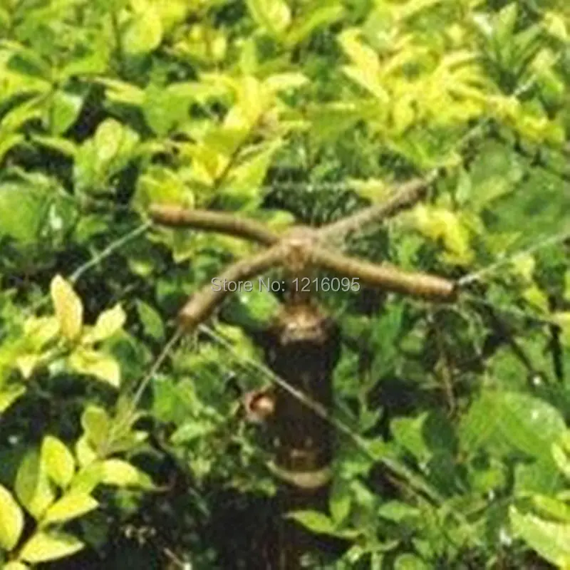 Разбрызгиватели с вращением на Латунь 1 шт.|lawn irrigation|sprinkler sprayrotating sprinkler |