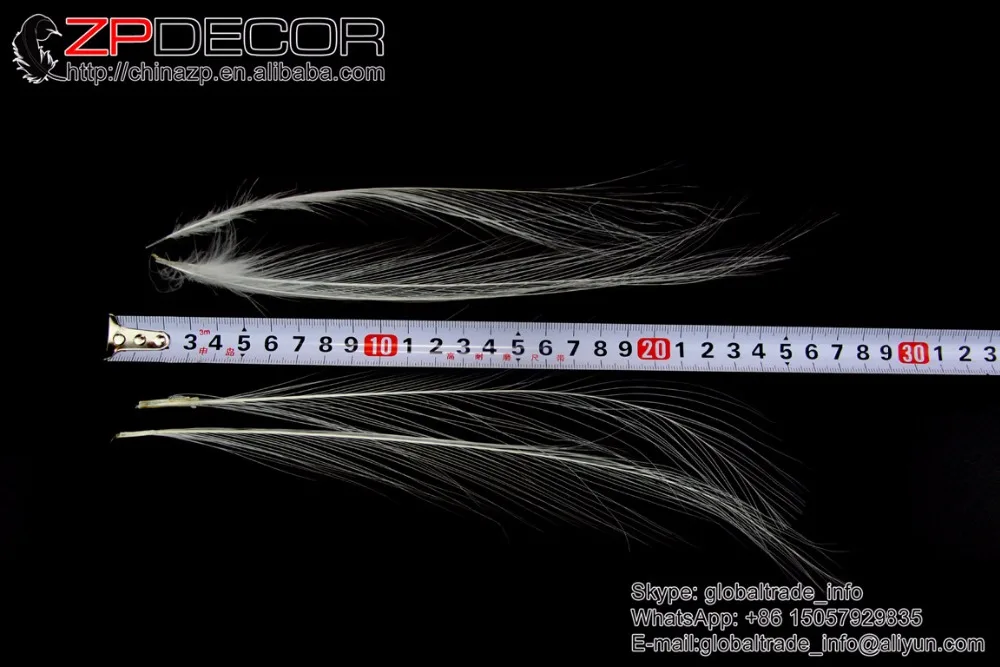 Zpdecoration 50 шт./лот 15 20 см (6 8 дюймов) Высокое качество ручная Сортировка натуральный