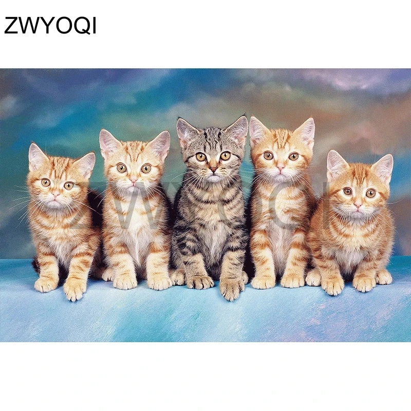 

Full Round Diamond embroidery Cat animal Full Square Diamond mosaic Cat animal 5D DIY Diamond painting Cross stitch Cat animal