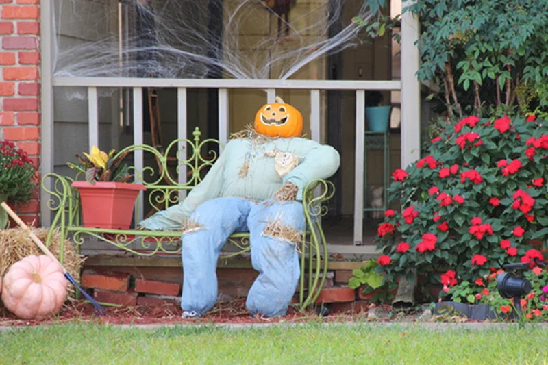 

Фотофон для новорожденных и домашних животных