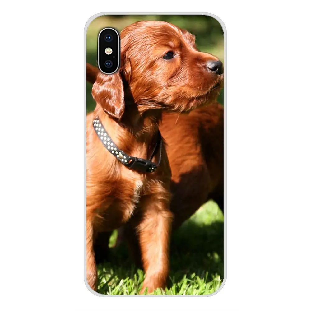Чехлы и аксессуары для телефонов Xiaomi Redmi 4A S2 Note 3 3S 4 4X 5 Plus 6 7 6A Pro Pocophone F1 Irish Setter dog art