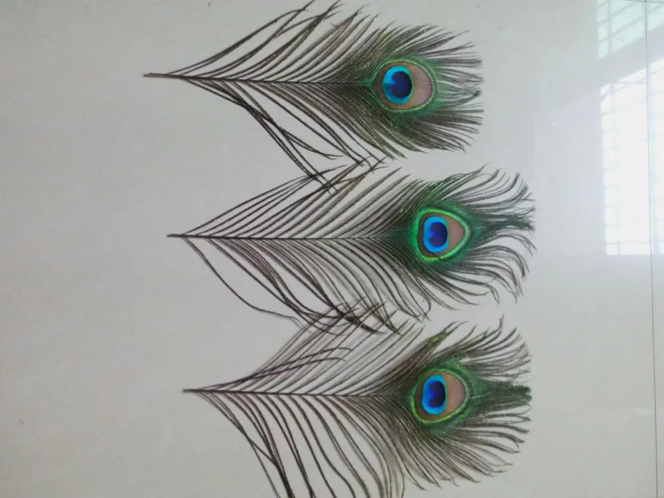 Новинка! Продажа 100 шт. 100% Высококачественные Натуральные перышки павлина 10-12