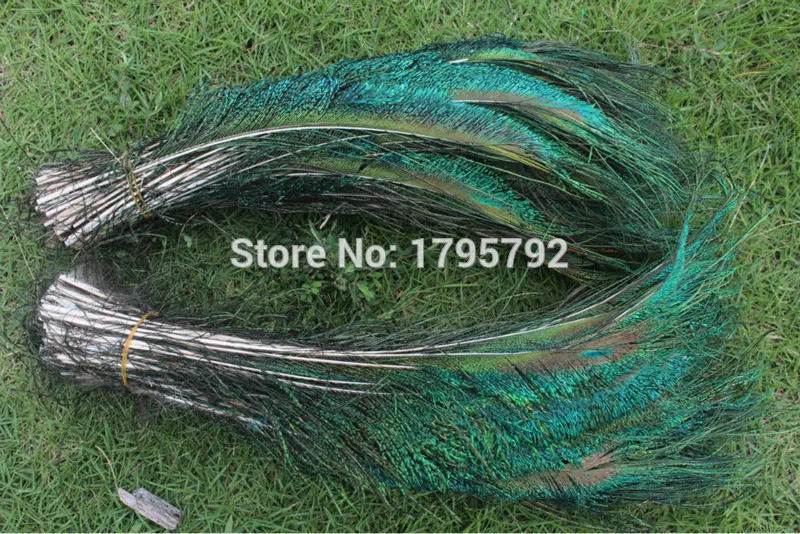 100pcs Peacock Sword Feathers Symmetrical 25-30cm Natural Green Iridescent Plumas for Left &amp Right Crafts decorations Plumes | Дом и сад