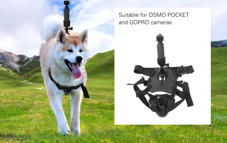 DJI OSMO Карманный адаптер ремень Эластичный регулируемый нагрудный ремень собаки FPV жгут задний ремень для Insta360 One X для GoPro 7 SJCAM