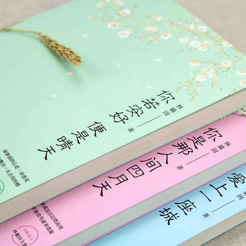 3 шт./компл. новая молодежная Книга по литературе влюбитесь в город/вы Апрель