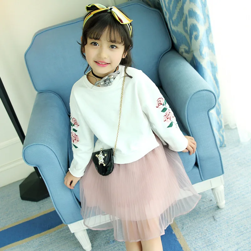 Детская одежда 2017 г. осенний костюм с юбкой розового цвета вышивкой и длинными