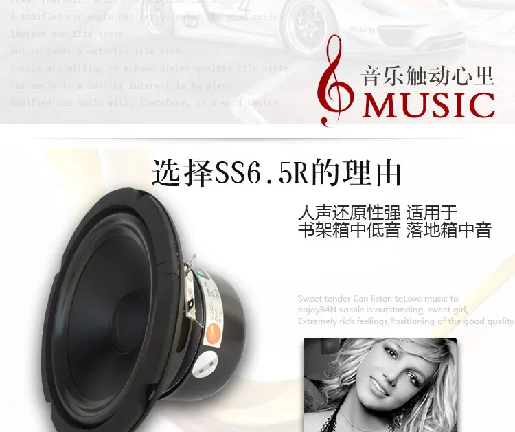 HiVi SS6.5R 6,5 дюймов mid динамик HiFi DIY Pmax 120 Вт 5 Ом высокое качество 2 шт./лот