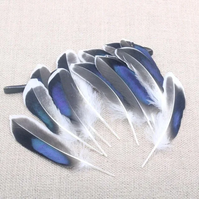 

50pcs Beautiful Goose Feather Clothing Necklace earrings dance accessories Decorative Feather 4.3 - 6inch
