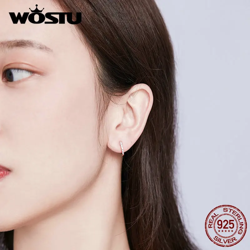 WOSTU, 925 пробы, серебряные, классические, круглые, серебряные серьги-кольца, Аутентичные, прозрачные, циркониевые серьги для женщин, модные ювелирные изделия CQE498