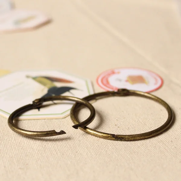 Бронзовое кольцо обруч железный альбом сделай сам Открытое с листьями книга