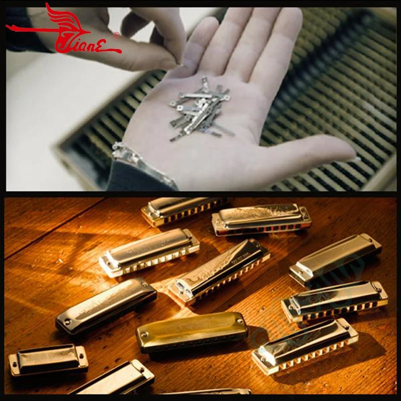 Лебедь бронза 10 отверстий Diatonic Bluetooth Harp гармоника Ключ C | Спорт и развлечения