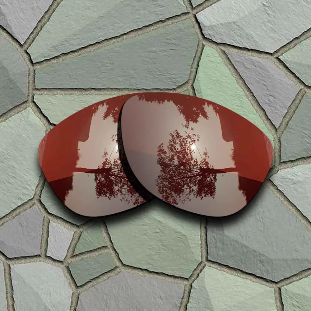 Bronze Brown Солнцезащитные очки поляризованные Сменные линзы для Oakley Frogskins-сорта - Цвет линз: Bronze Brown