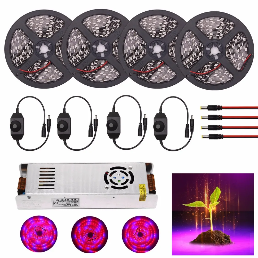 DC 12V LED Grow Lights Водонепроницаемая 5050 5M 10M 15M 20M 30M светодиодная лента для выращивания