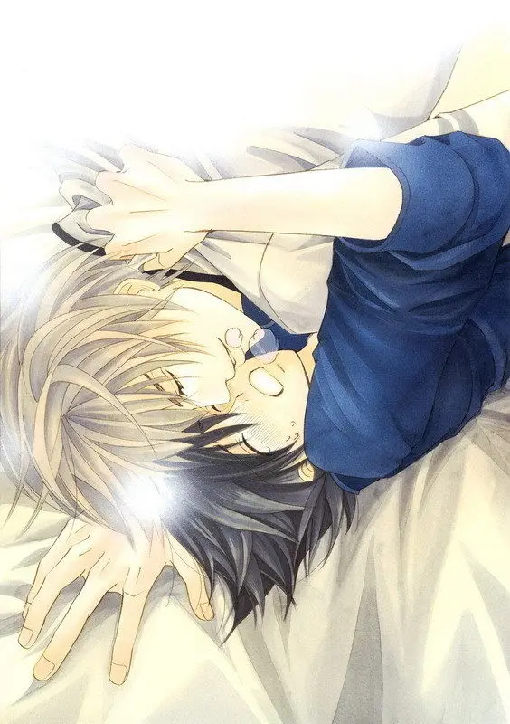 DM02750 junjou romantica-Япония Yaoi Manga 1" x 20" Афиша