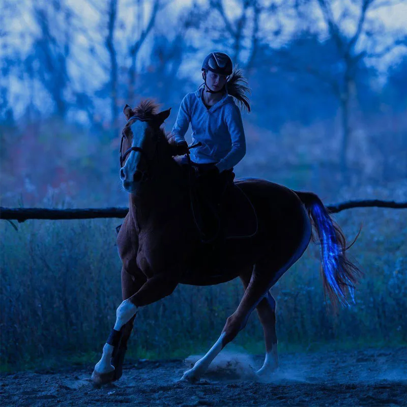 New Outdoor Sports Horse Riding Tail Trappings Equestrian LED Flashing Light Bar Harness With USB Charge Riding Decorations