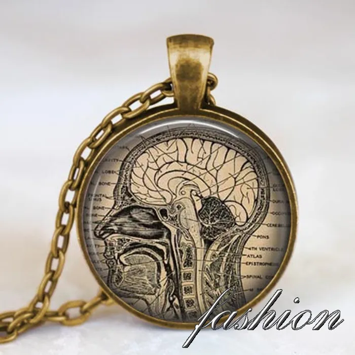 Анатомический мозг ожерелье человеческий Анатомия кулон невролог подарок