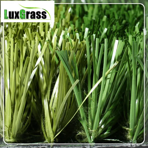 Газонная трава astro для полевого поля|grass|grass turf |