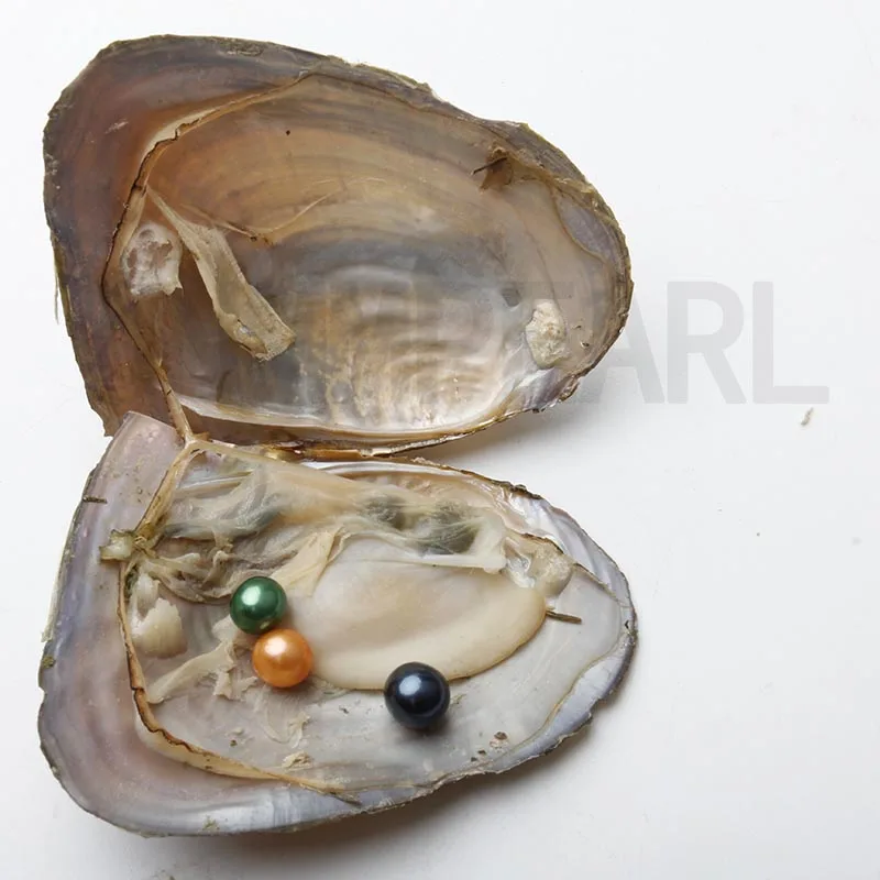 JNMM 30Pcs Freshwater Oysters with Three Pearl Beads 7-8mm Round Shape pearls for DIY Gift Jewelry Vacuum-packed | Украшения и