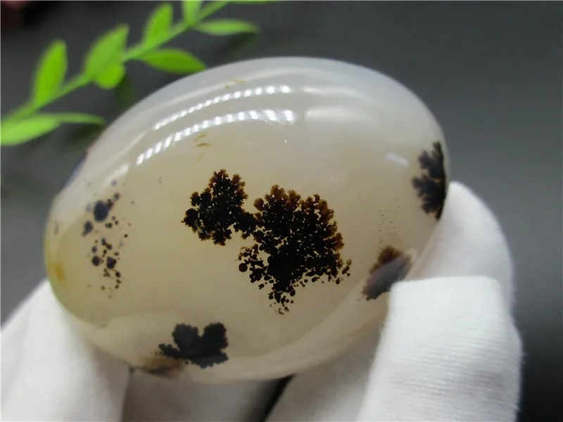 

Натуральные полированные водные растения, Agate Crystal образец из Мадагаскара Gift Energy Reiki Healing Collection