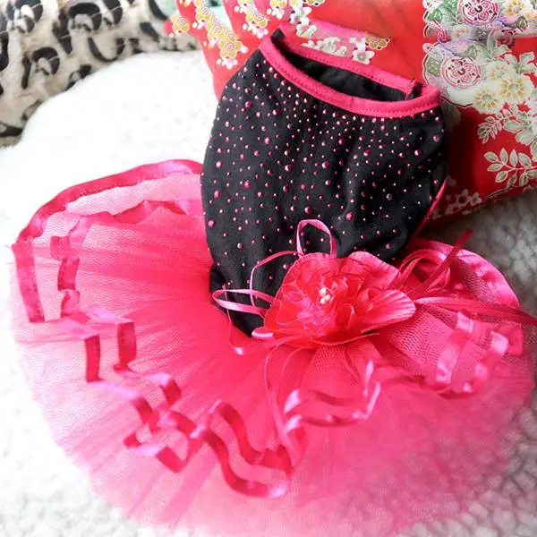 Кота собаки любимчика с блестящим красным чёрное платье пачка кружевное одежда