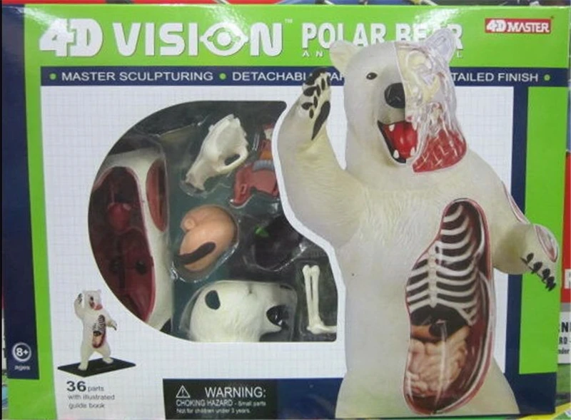 Игрушка для сборки Polar bear 4d master биология животных модель обучения|Медицинская