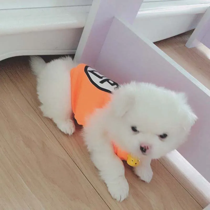 Мультяшный жилет для собак футболка маленьких средних и больших одежда весны