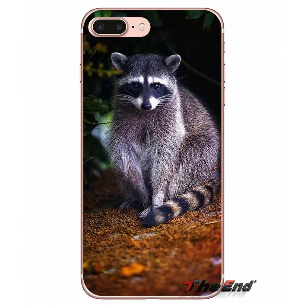 Силиконовые чехлы Kawaii Детские еноты для Huawei Honor 7X V10 6C V9 6A Play 9 Mate 10 Pro Y7 Y5 P8 P10 Lite Plus GR5