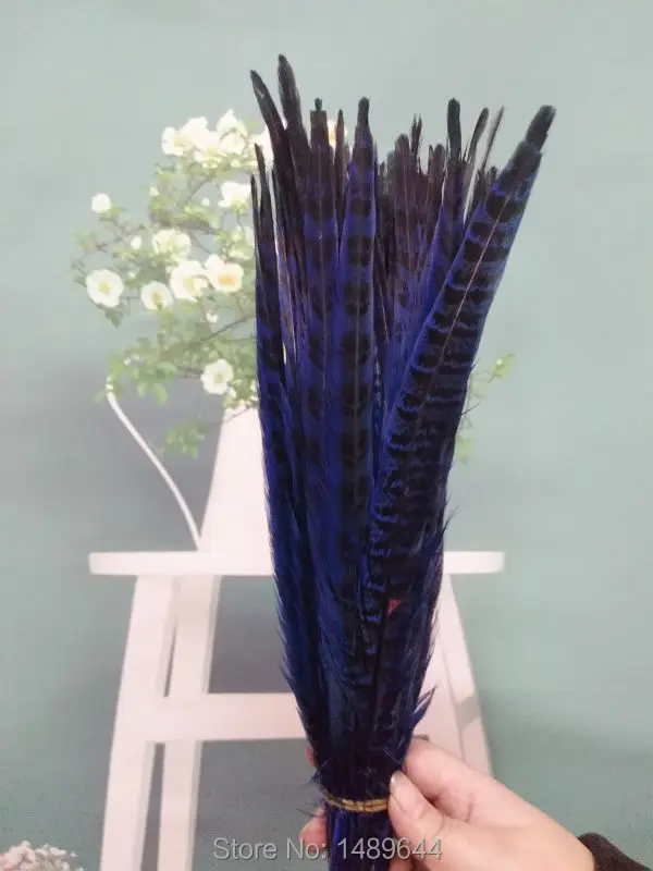 

Cheap feathers! 100pcs / natural purple pheasant feathers 27-35 cm / 11-14 inch pheasant feathers clothing accessories