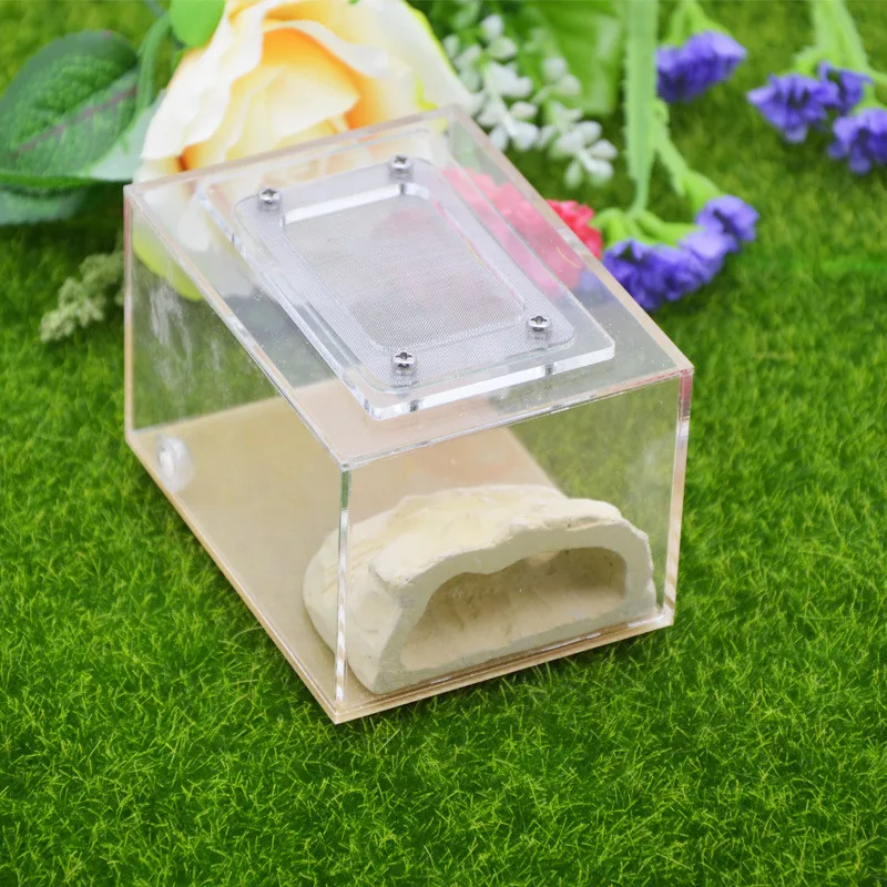 Имитация экологического муравьиного гнезда DIY штукатурка rockery acryl pet муравьиный замок муравьиная ферма насекомое муравьиные гнезда вилла